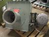 CHICAGO Stock fan, Size 13,